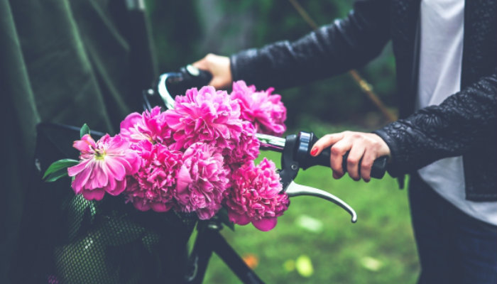 Flores em bicicleta